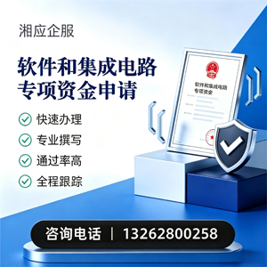 咸宁软件和集成电路专项资金申报服务