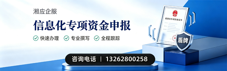 咸宁信息化专项资金申报服务