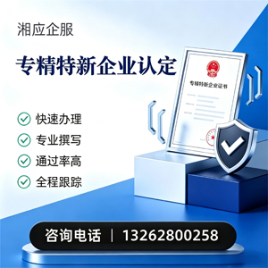 咸宁专精特新企业申报服务