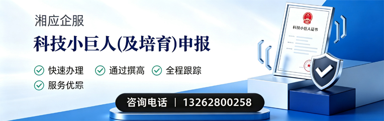 咸宁科技小巨人及培育企业申报服务
