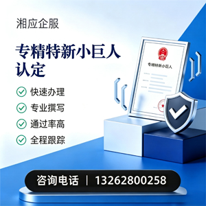 咸宁专精特新小巨人申报服务