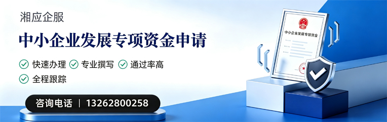 咸宁中小企业发展专项资金申报服务