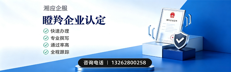 咸宁瞪羚企业认定申报服务