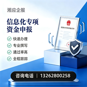 咸宁信息化专项资金申报服务
