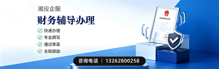 咸宁财务辅导申请服务