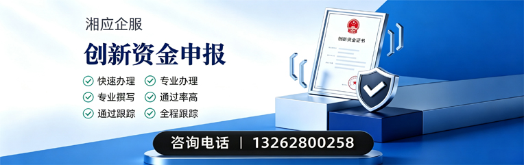 咸宁创新资金申报服务