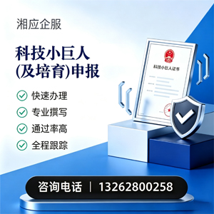 咸宁科技小巨人及培育企业申报服务