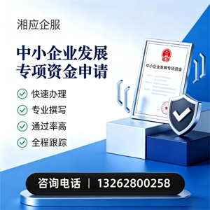 咸宁中小企业发展专项资金申报服务