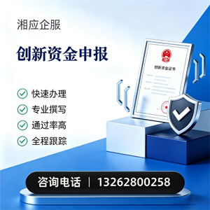 咸宁创新资金申报服务