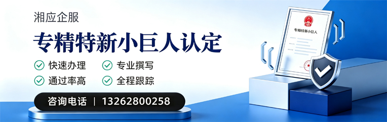 咸宁专精特新小巨人申报服务